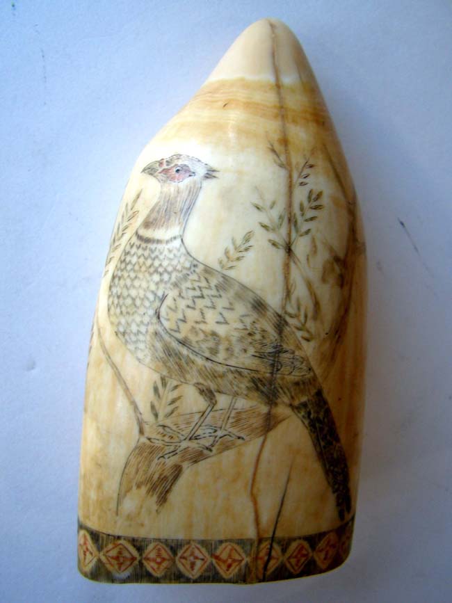 An American scrimshawed Whale's Tooth with polycrome decoration circa 1850 — image 2